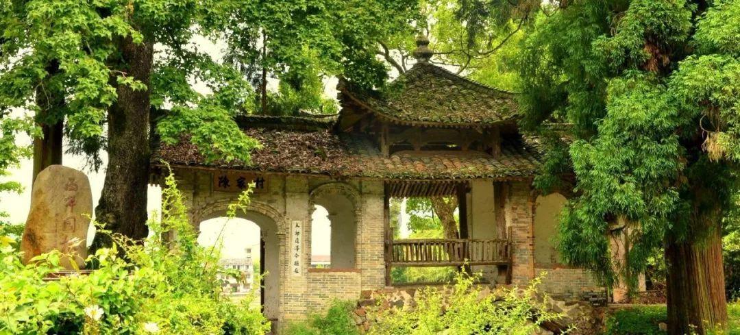 实心做好“泾阳味”