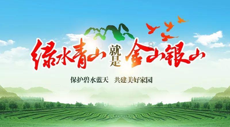 救援瓢虫宝宝