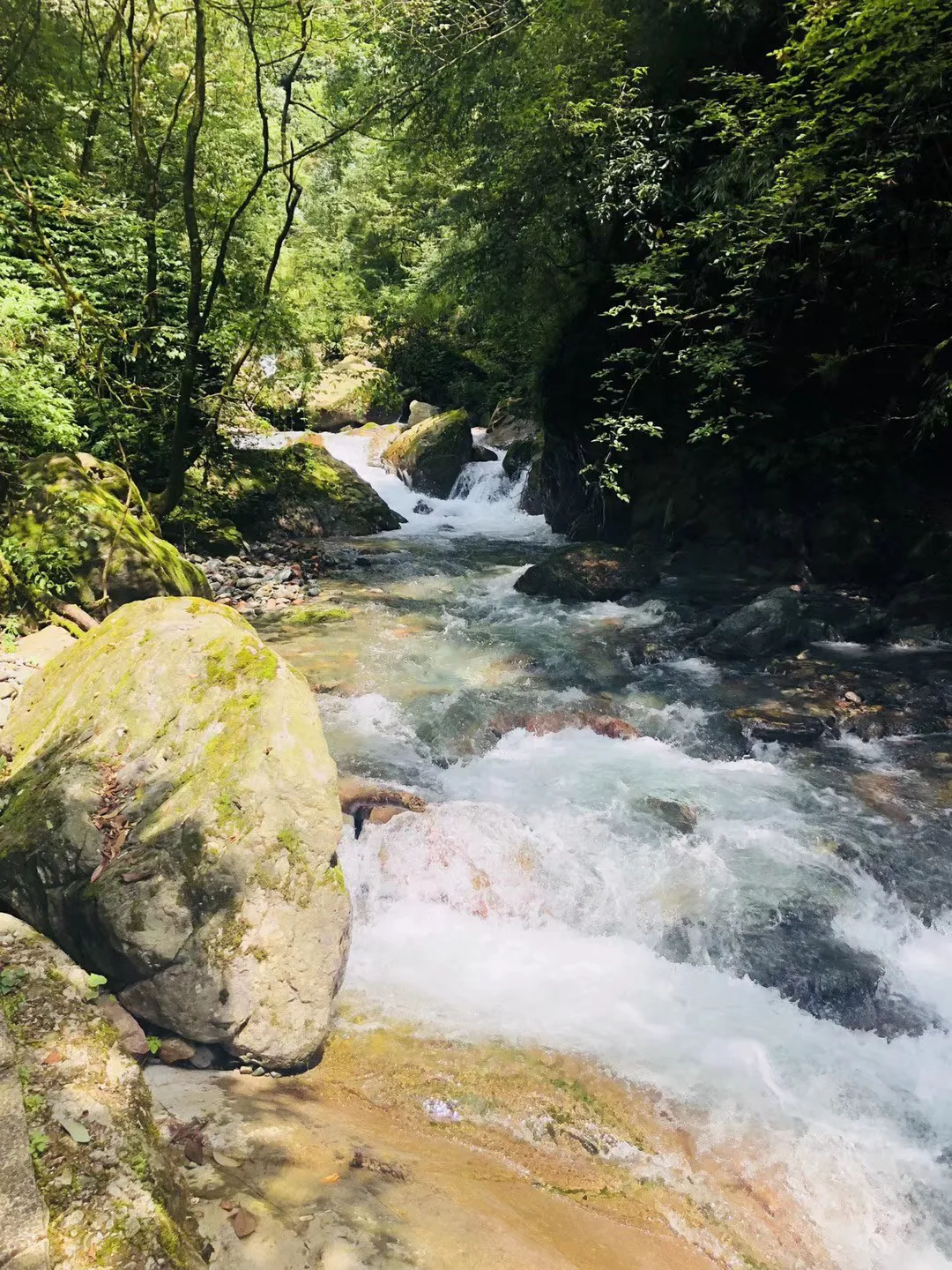 问止中医 | 何平医师:左半身麻痹两年,查不出原因