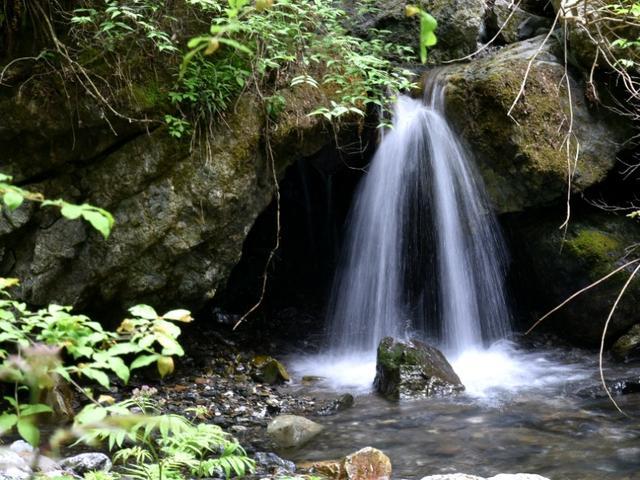 沪江开心词场