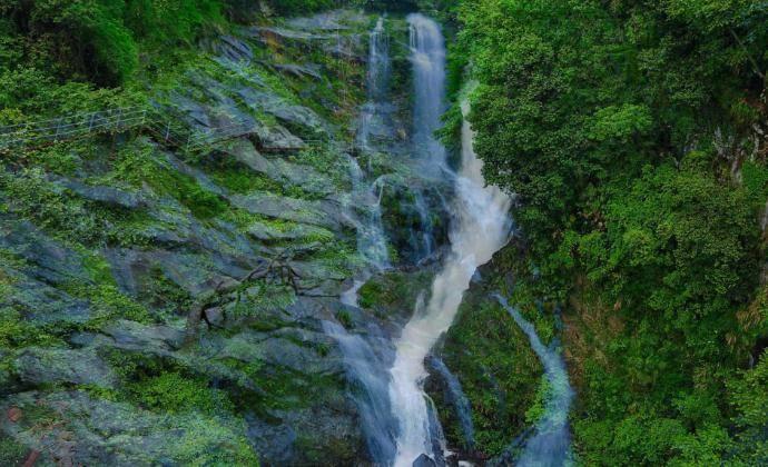 【2024春节山东乡村文化旅游节】满满年味!幸福新昌喊您过大年~~~